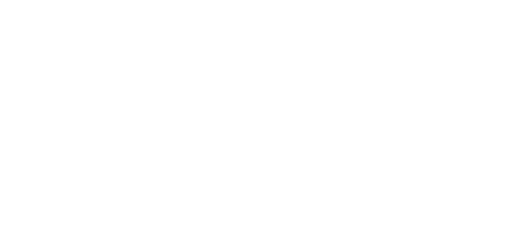 LOGO NORMA 06