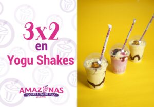 Yogurt Amazonas Yogu Shakes